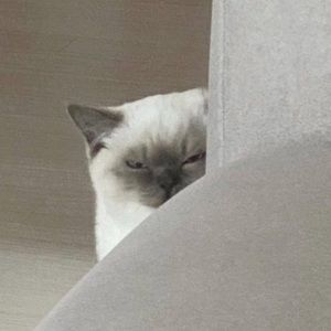 Meet your Posher, Rebecca